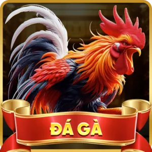 Đa dạng trận đấu AW8 Win